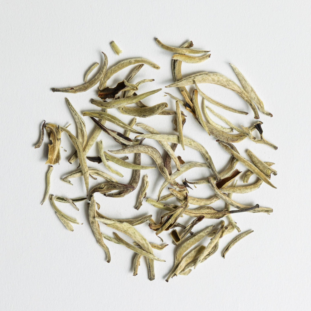 Bai Hao Yin Zhen "Silver Needle" - The Tea Centre of Stockholm