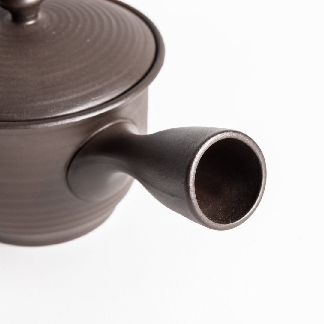 Tokoname Rakusai - The Tea Centre of Stockholm